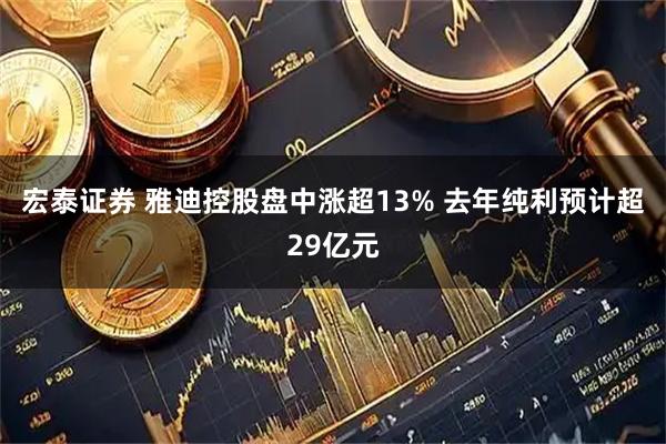 宏泰证券 雅迪控股盘中涨超13% 去年纯利预计超29亿元